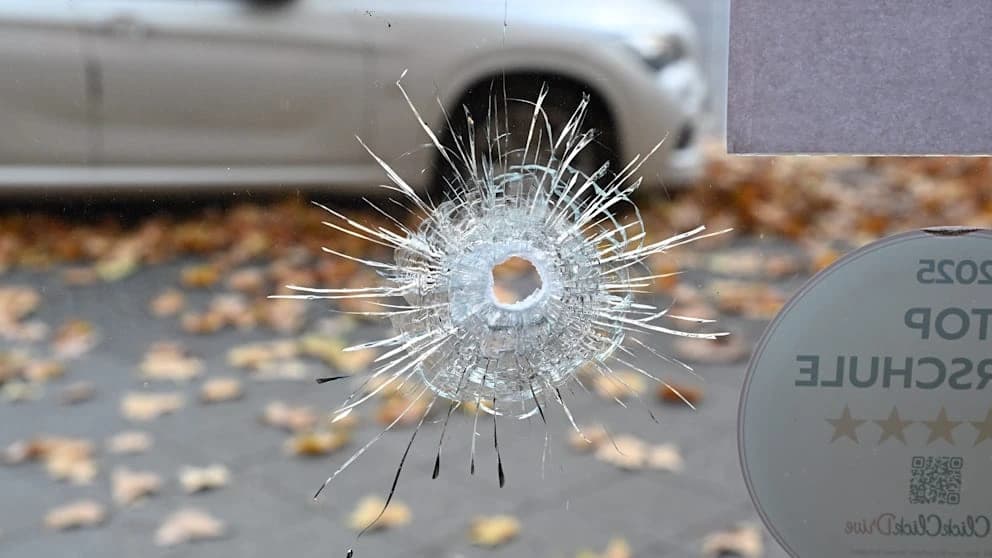 Ableger der türkischen Mafia breiten sich in Deutschland aus. Darunter die Daltons – angelehnt an die Comic-Bande – und andere brutale Gruppen. Diese neue Generation von Kriminellen erpresst Geschäftsleute mit Waffengewalt, handelt mit Drogen und führt Auftragsmorde durch