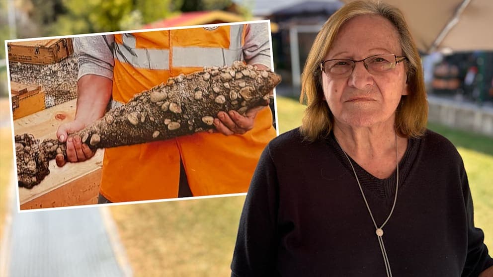 Zehn Tonnen Weltkriegsmunition in meinem Garten gefunden