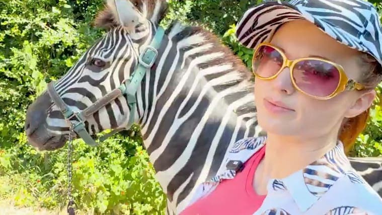 Amouranth (32, bürgerlich Kaitlyn Siragusa) führt ihr Zebra im Zebra-Look aus. Über alle Kanäle hinweg folgen ihr aktuell rund elf Millionen Menschen.