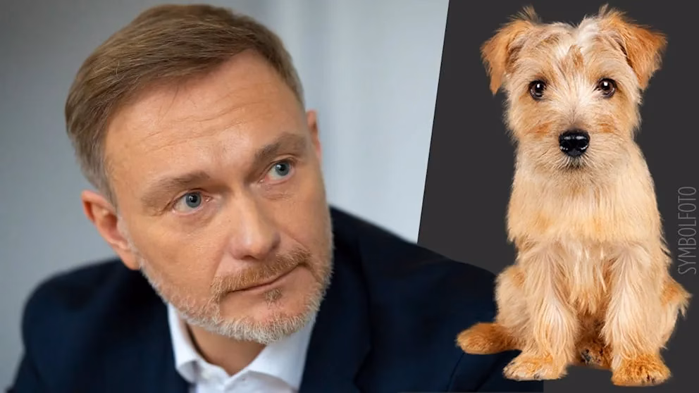 Christian Lindner verursacht tödlichen Unfall mit Hund eines berühmten Musikproduzenten